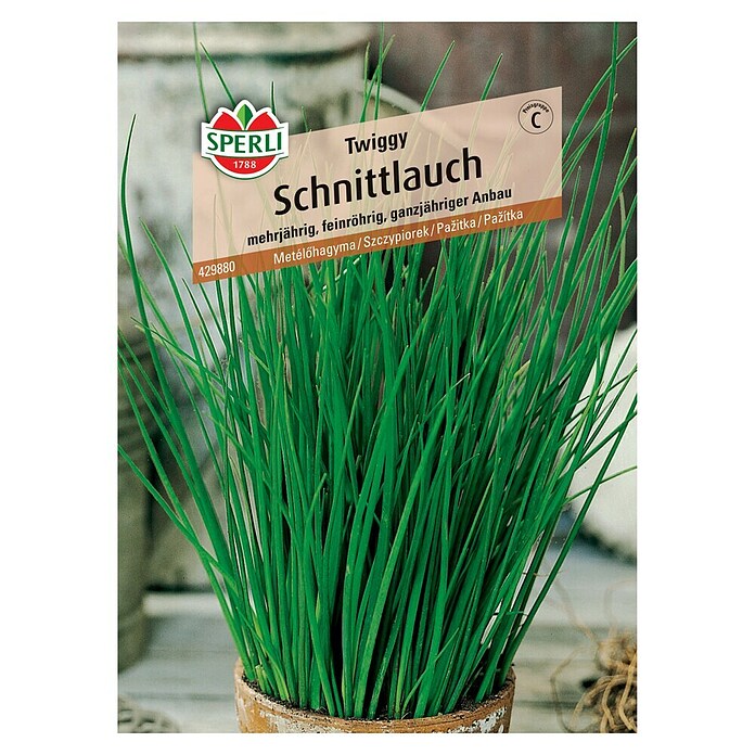 Sperli Gemüsesamen Schnittlauch (Twiggy, Allium schoenoprasum, Erntezeit: Juli) | BAUHAUS