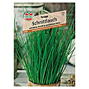 Sperli Gemüsesamen Schnittlauch (Twiggy, Allium schoenoprasum, Erntezeit: Juli) | BAUHAUS