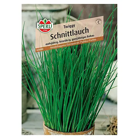 Sperli  Gemüsesamen Schnittlauch Twiggy