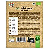 Sperli Salatsamen Salatrauke (Eruca vesicaria subsp. sativa, Erntezeit: Juni) | BAUHAUS