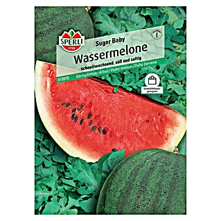 Sperli Obstsamen Wassermelone Sugar Baby (Sugar Baby, Citrullus lanatus, Erntezeit: August)