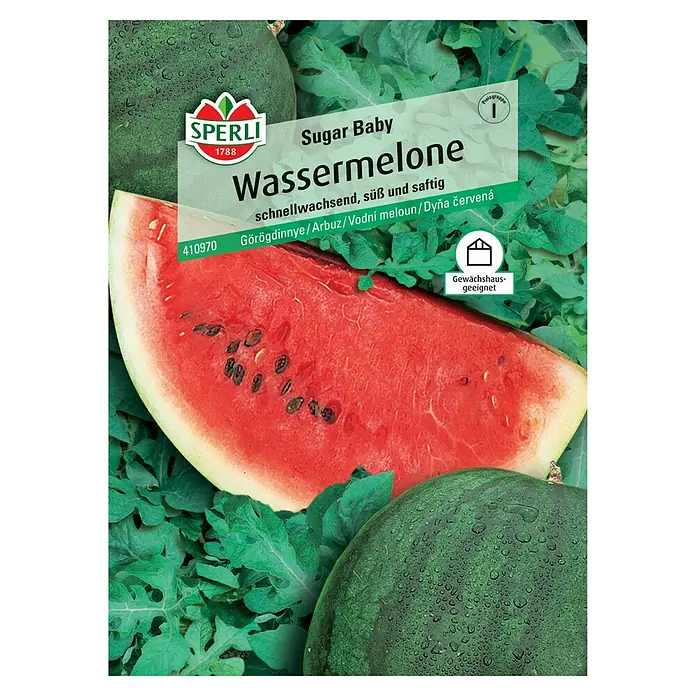 Sperli Obstsamen Wassermelone Sugar Baby - Citrullus lanatus, Erntezeit: August - Abbildung der "Sugar Baby Wassermelone" Samenpackung von Sperli, die eine Scheibe und ganze Wassermelonen zeigt.