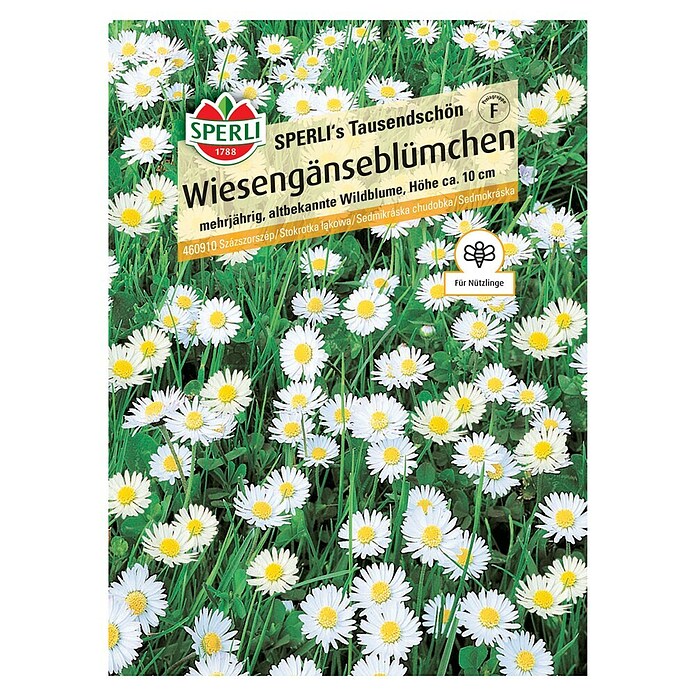Sperli Blumensamen Wiesengänseblümchen Tausendschön (Bellis perennis, Weiß) | BAUHAUS