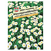 Sperli Blumensamen Wiesengänseblümchen Tausendschön (Bellis perennis, Weiß) | BAUHAUS