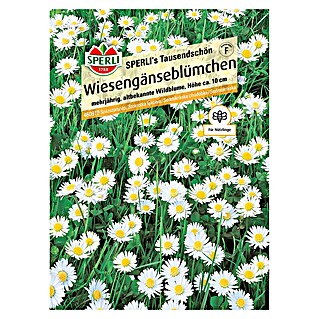 Sperli Blumensamen Wiesengänseblümchen Tausendschön (Bellis perennis, Weiß)