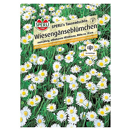 Sperli Blumensamen Wiesengänseblümchen Tausendschön (Bellis perennis, Weiß)