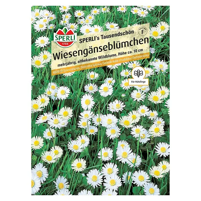 Sperli Blumensamen Wiesengänseblümchen Tausendschön - Bellis perennis, Weiß - SPERLI's Tausendschön Wiesengänseblümchen: Mehrjährige, altbekannte Wildblume für naturnahe Gärten. Höhe ca. 10 cm.