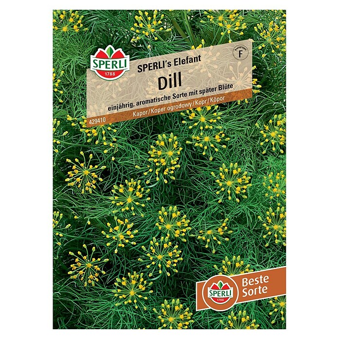 Sperli Kräutersamen Dill Sperli's Elefant (Anethum graveolens, Saatzeit: Mai) | BAUHAUS