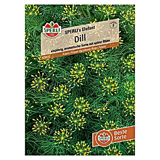 Sperli Kräutersamen Dill Sperli's Elefant (Anethum graveolens, Saatzeit: Mai)