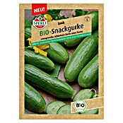 Sperli Snack-Gurke Bio (Iznik, Cucumis sativus, Erntezeit: Juli) | BAUHAUS