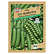 Sperli Gemüsesamen Bio Sommermarkerbse (Karina, Pisum sativum, Erntezeit: Juni) | BAUHAUS