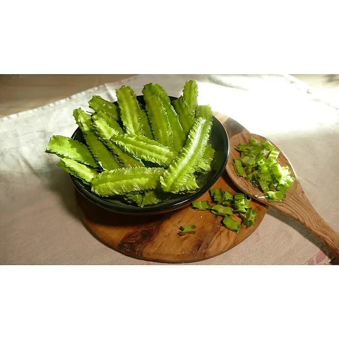 Blu Bio Spargelerbse - Lotus tetragono, Topfgröße: 12 cm - Eine Schüssel mit frischen Flügelbohnen und gehackten Bohnen auf einem Holzbrett.