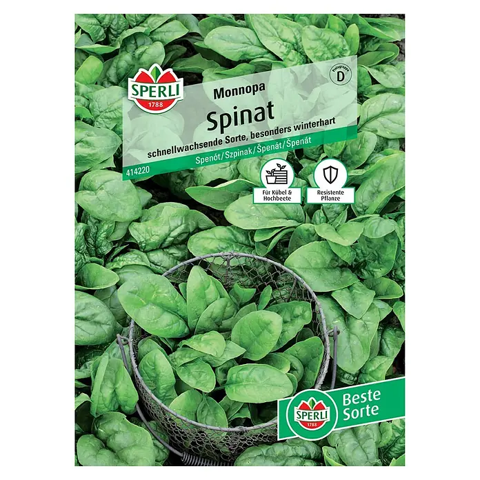 Sperli Gemüsesamen Spinat Monnopa - Spinacia oleracea, Erntezeit: April - Samenpackung Monnopa Spinat von Sperli, eine schnellwachsende und winterharte Sorte.
