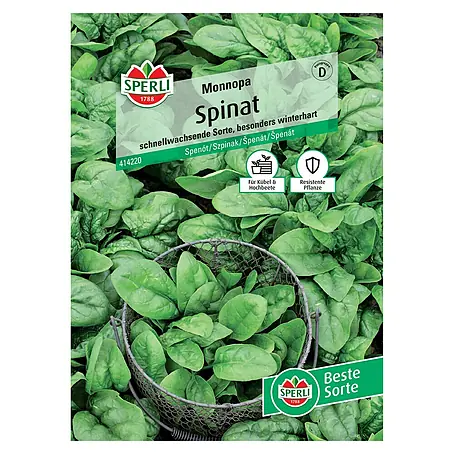 Sperli  Gemüsesamen Spinat Monnopa