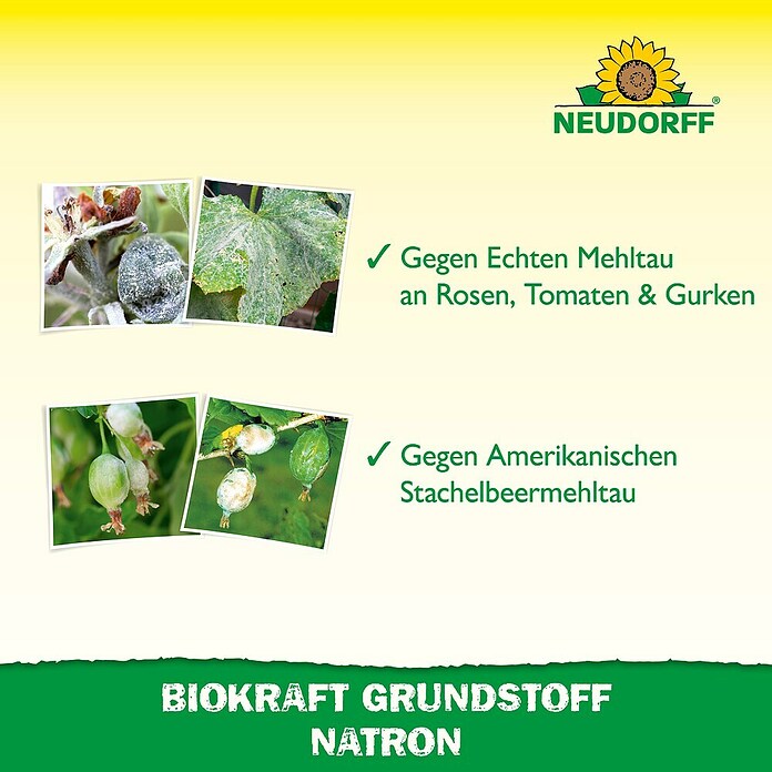 Neudorff BioKraft Grundstoff Natron (500 ml) | BAUHAUS