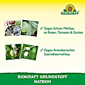 Neudorff BioKraft Grundstoff Natron (500 ml) | BAUHAUS