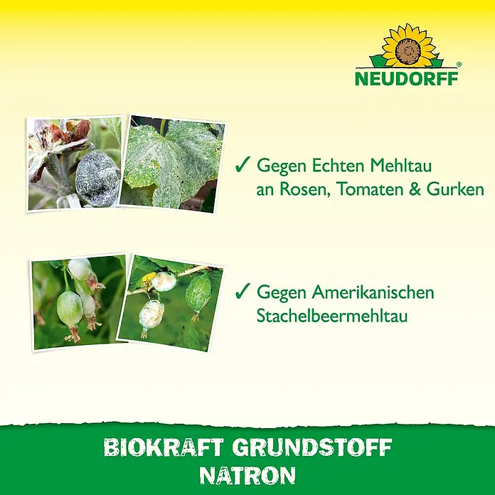 Neudorff BioKraft Grundstoff Natron - 500 ml - Neudorff Biokraft Grundstoff Natron: Bekämpft Echten Mehltau an Rosen, Tomaten & Gurken sowie Amerikanischen Stachelbeermehltau.