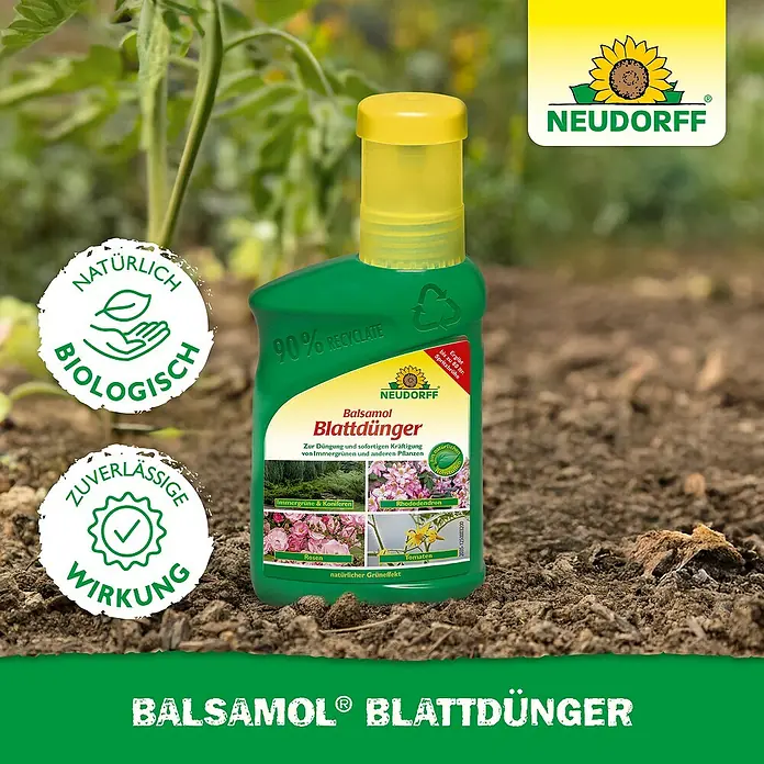 Neudorff Grünpflanzendünger Balsamol Blattdünger - 250 ml - Neudorff Balsamol Blattdünger: Natürlicher Blattdünger für gesunde Pflanzen, stärkt Immergrüne und andere Pflanzen.