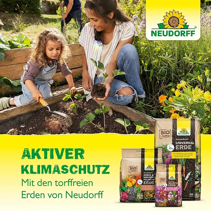 Neudorff NeudoHum Hochbeeterde - 40 l - Eine Mutter und ihr Kind pflanzen mit Neudorff-Erde Erdbeeren in einem Hochbeet. Im Vordergrund sind Neudorff-Erde Säcke zu sehen.