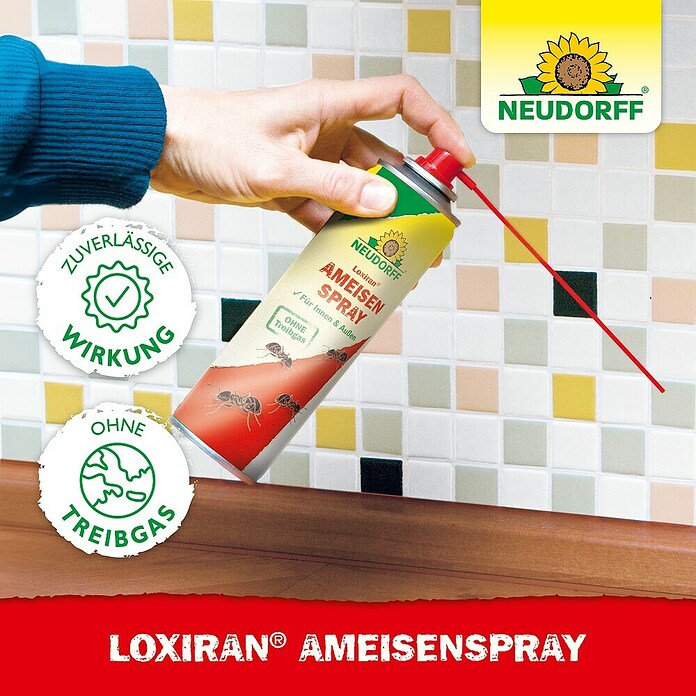 Neudorff Loxiran Ameisenspray (500 ml) | BAUHAUS
