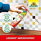 Neudorff Loxiran Ameisenspray (500 ml) | BAUHAUS