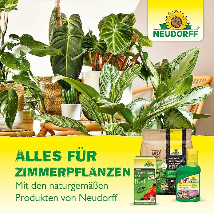Neudorff Klebefalle Blau-Sticker (Blau, 10 Stk.) | BAUHAUS