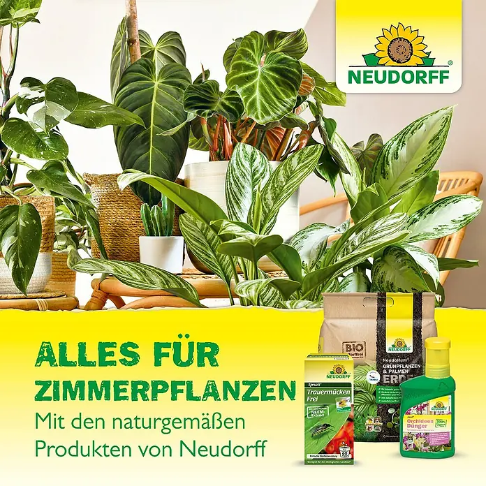 Neudorff Klebefalle Blau-Sticker - Blau, 10 Stk. - Zimmerpflanzenprodukte von Neudorff: Blumenerde, Dünger und Schädlingsbekämpfung für gesunde Pflanzen im Haus.