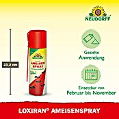 Neudorff Loxiran Ameisenspray (500 ml) | BAUHAUS