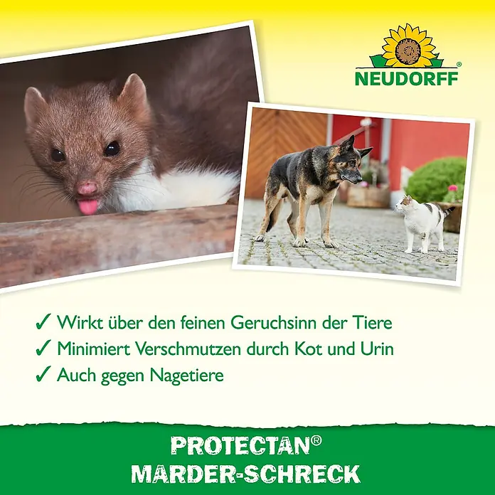 Neudorff Protectan Marder-Schreck - 200 g - Produktbild von PROTECTAN® Marder-Schreck, das Marder, Hunde und Katzen zeigt. Es wirkt über den Geruchssinn und minimiert Verschmutzungen.