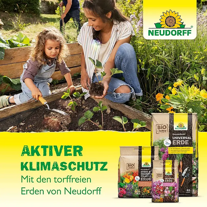 Neudorff NeudoHum Kübelpflanzenerde - 75 l, Torffrei - Neudorff torffreie Erden für aktiven Klimaschutz: Universalerde, Zitrus- & Mediterranerde, Orchideenerde.