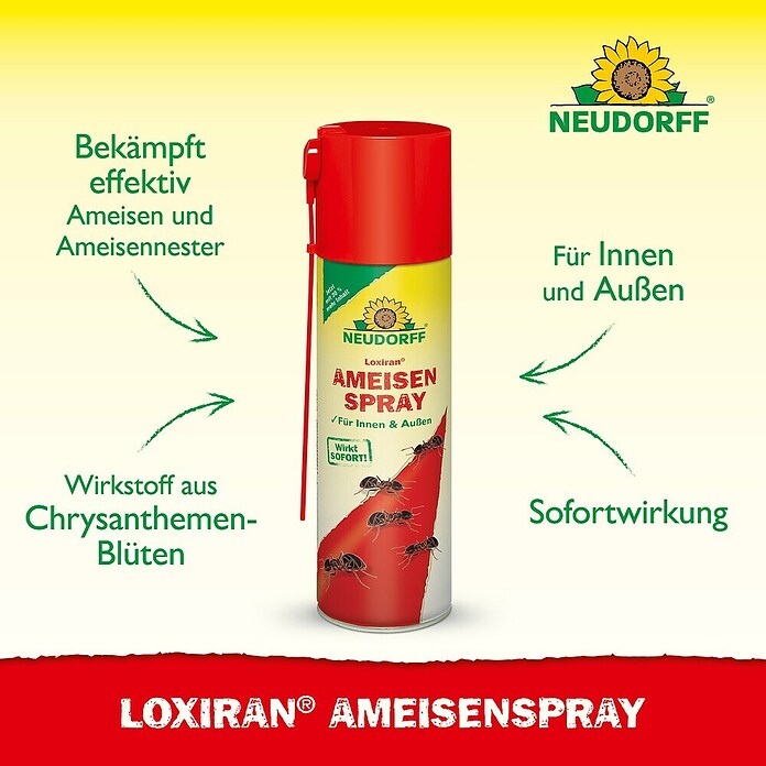 Neudorff Loxiran Ameisenspray (500 ml) | BAUHAUS