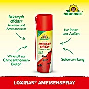 Neudorff Loxiran Ameisenspray (500 ml) | BAUHAUS