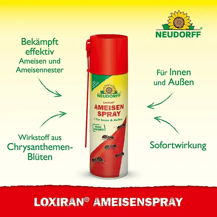 Neudorff Loxiran Ameisenspray - 500 ml - Bild einer Dose Neudorff Loxiran Ameisenspray, das Ameisen effektiv bekämpft, für den Innen- und Außenbereich geeignet ist und sofort wirkt.