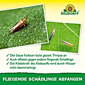 Neudorff Klebefalle Blau-Sticker (Blau, 10 Stk.) | BAUHAUS