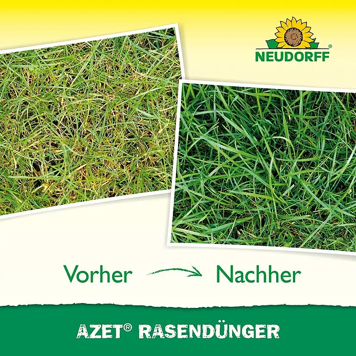 Neudorff Azet Rasendünger - 10,05 kg, Max. Anwendungsfläche: 201 m² - Vorher-Nachher-Vergleich von Rasen nach der Behandlung mit AZET® Rasendünger, der für einen grüneren und gesünderen Rasen sorgt.