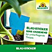 Neudorff Klebefalle Blau-Sticker (Blau, 10 Stk.) | BAUHAUS