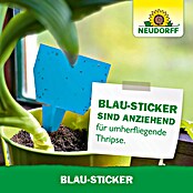 Neudorff Klebefalle Blau-Sticker (Blau, 10 Stk.) | BAUHAUS