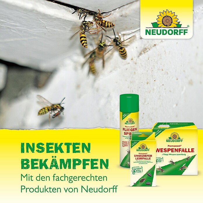 Neudorff Loxiran Ameisenspray (500 ml) | BAUHAUS