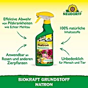 Neudorff BioKraft Grundstoff Natron (500 ml) | BAUHAUS