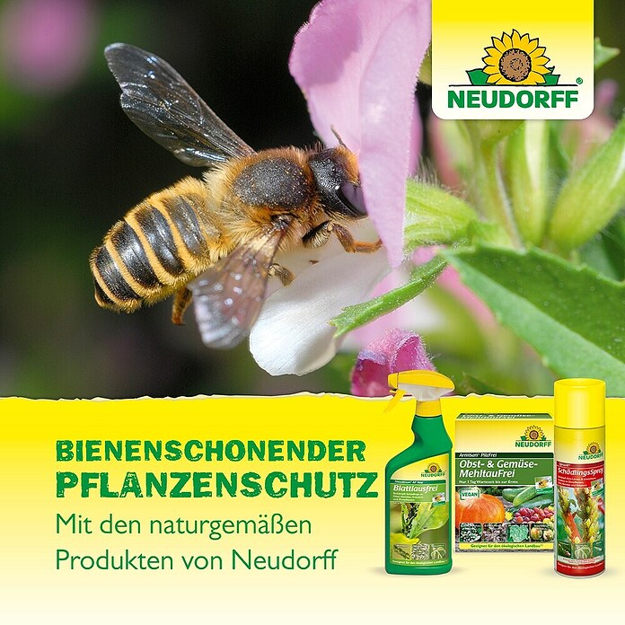 Neudorff BioKraft Grundstoff Natron (500 ml) | BAUHAUS