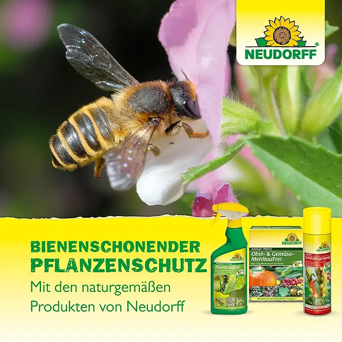 Neudorff BioKraft Grundstoff Natron - 500 ml - Werbung für Neudorff Pflanzenschutzmittel, die bienenfreundlich sind. Blattlausfrei, Obst- und Gemüseschutz, Schädlingsspray sind abgebildet.