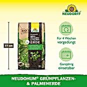 Neudorff NeudoHum Kübelpflanzenerde für Grünpflanzen und Palmen (40 l, Torffrei) | BAUHAUS