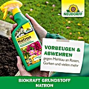 Neudorff BioKraft Grundstoff Natron (500 ml) | BAUHAUS