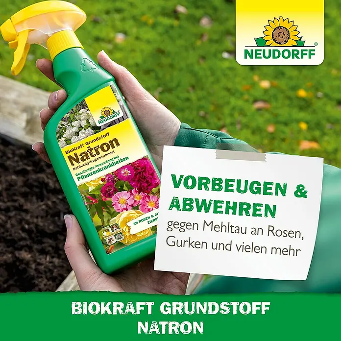 Neudorff BioKraft Grundstoff Natron - 500 ml - BioKraft Grundstoff Natron Pflanzenschutzmittel zur Vorbeugung und Abwehr von Mehltau an Rosen, Gurken und mehr.