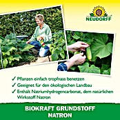 Neudorff BioKraft Grundstoff Natron (500 ml) | BAUHAUS