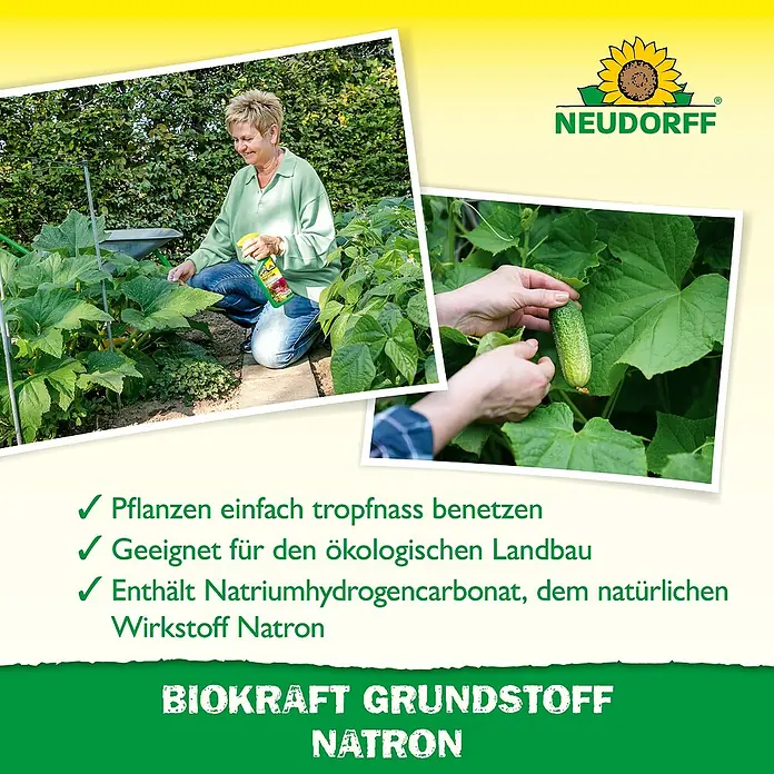 Neudorff BioKraft Grundstoff Natron - 500 ml - Pflanzenpflege mit Neudorff Natron: Einfach tropfnass benetzen für ökologischen Landbau. Natürlicher Wirkstoff für gesunde Pflanzen.