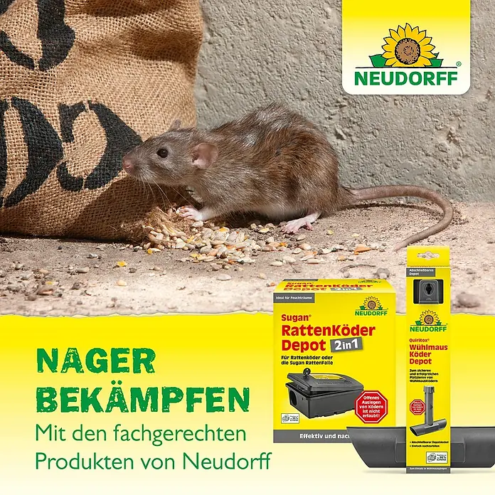 Neudorff Sugan Mausefalle Köderstation & Duftköder - Schlagfalle, Kunststoff - Rattenbekämpfung mit Neudorff-Produkten: Sugan Rattenköder Depot und Quiritox Wühlmaus Köder Depot für effektive Nagetierkontrolle.