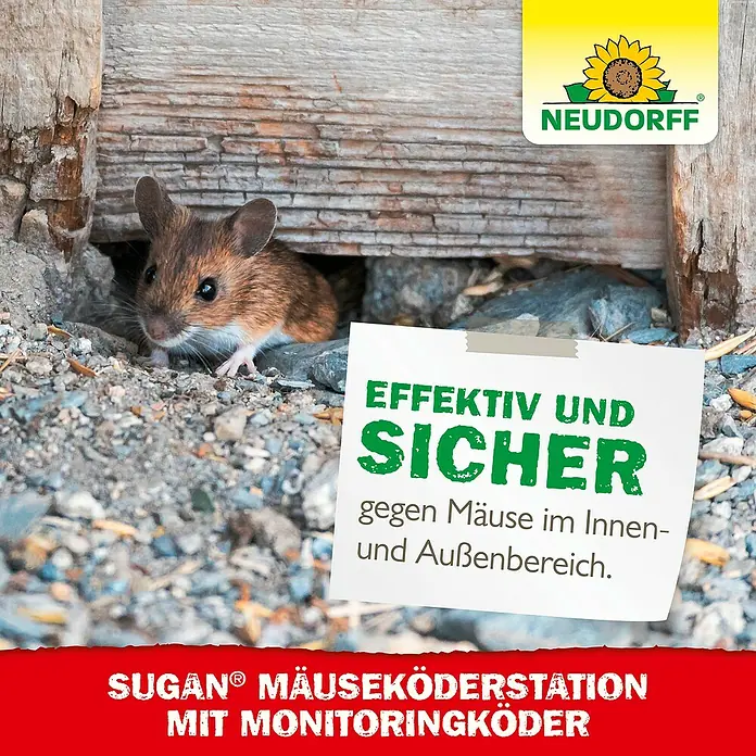 Neudorff Sugan Mausefalle Köderstation & Duftköder - Schlagfalle, Kunststoff - Eine Maus neben einer Neudorff Sugan Mäuseköderstation mit Monitoringköder, die "Effektiv und Sicher" gegen Mäuse im Innen- und Außenbereich wirbt.