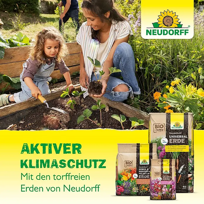 Neudorff NeudoHum Zitruspflanzenerde Zitrus- & Mediterranpflanzen - 40 l - Eine Frau und ein Kind pflanzen Erdbeeren mit Neudorff-Erde. Im Vordergrund verschiedene Neudorff-Erde Produkte.