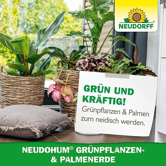 Neudorff NeudoHum Kübelpflanzenerde für Grünpflanzen und Palmen (40 l, Torffrei) | BAUHAUS
